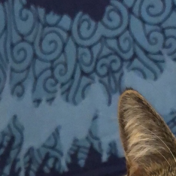 Meet your Posher, Stanley - Picture 1 of 1